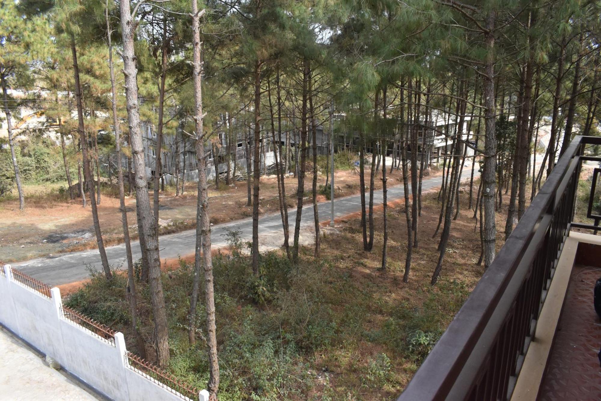 Xtsy Travellers Hostel Σιλόνγκ Εξωτερικό φωτογραφία